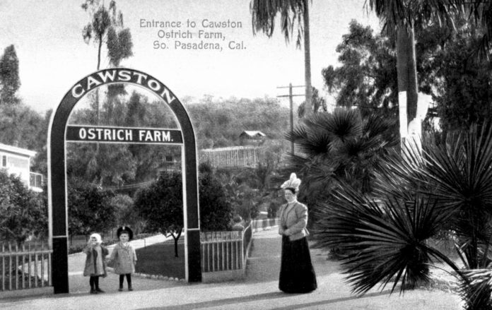 south-pasadena-news-12-13-2018-throwback-thursday