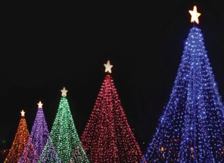 Los Angeles Master Chorale Invites You to a Free “Carols on the Plaza” Sing-Along