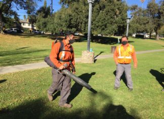 City Council to Consider Gas-Powered Leaf Blower Ban