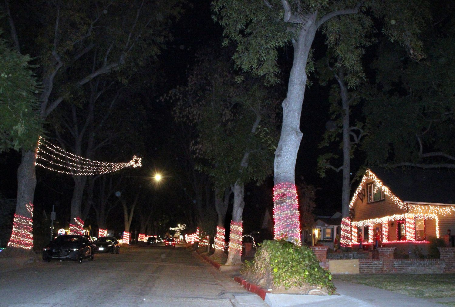 south-pasadena-news-12-19-2023-henk-friezer-christmas-lights3 | The South Pasadenan | South Pasadena News