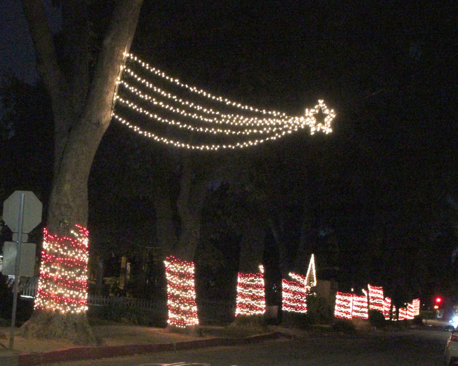 south-pasadena-news-12-19-2023-henk-friezer-christmas-lights4 | The South Pasadenan | South Pasadena News