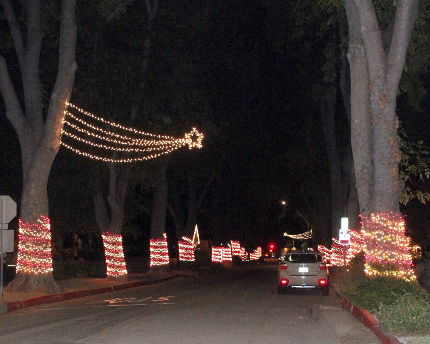 south-pasadena-news-12-19-2023-henk-friezer-christmas-lights5 | The South Pasadenan | South Pasadena News