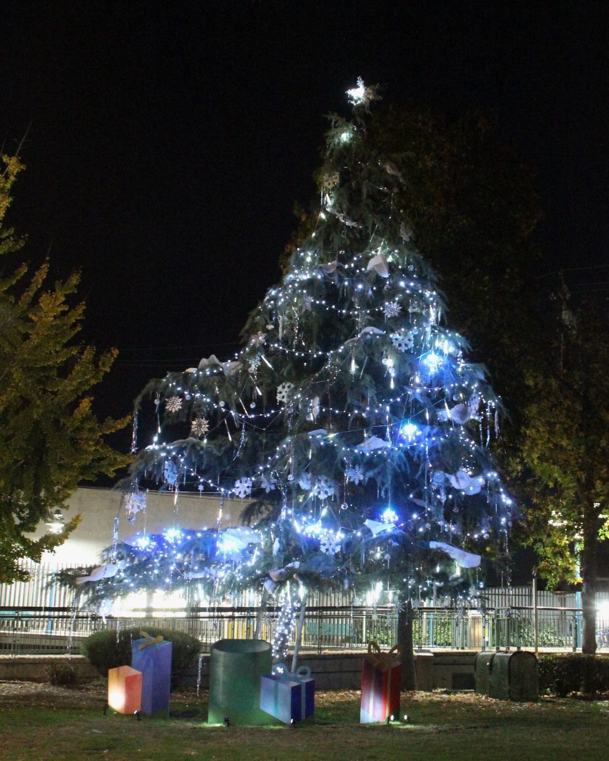 south-pasadena-news-12-19-2023-henk-friezer-christmas-lights8 | The South Pasadenan | South Pasadena News