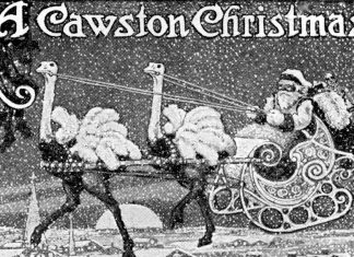 Throwback Thursday | Edwin Cawston vs. Santa Claus: Who Received the Most Mail?