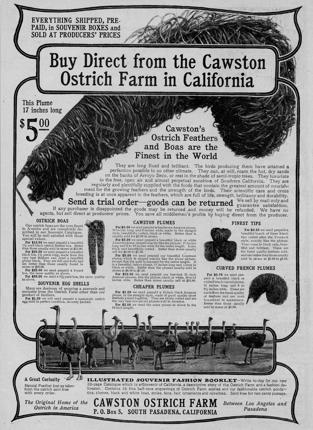south-pasadena-news-12-20-2018-throwback-thursday-edwin-cawston-vs-santa-claus-who-received-the-most-mail-03 | The South Pasadenan | South Pasadena News