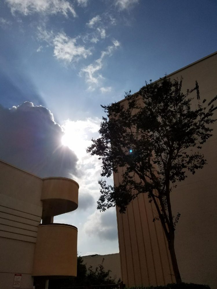 south-pasadena-news-12-27-17-semester-break-at-sphs-02 | The South Pasadenan | South Pasadena News