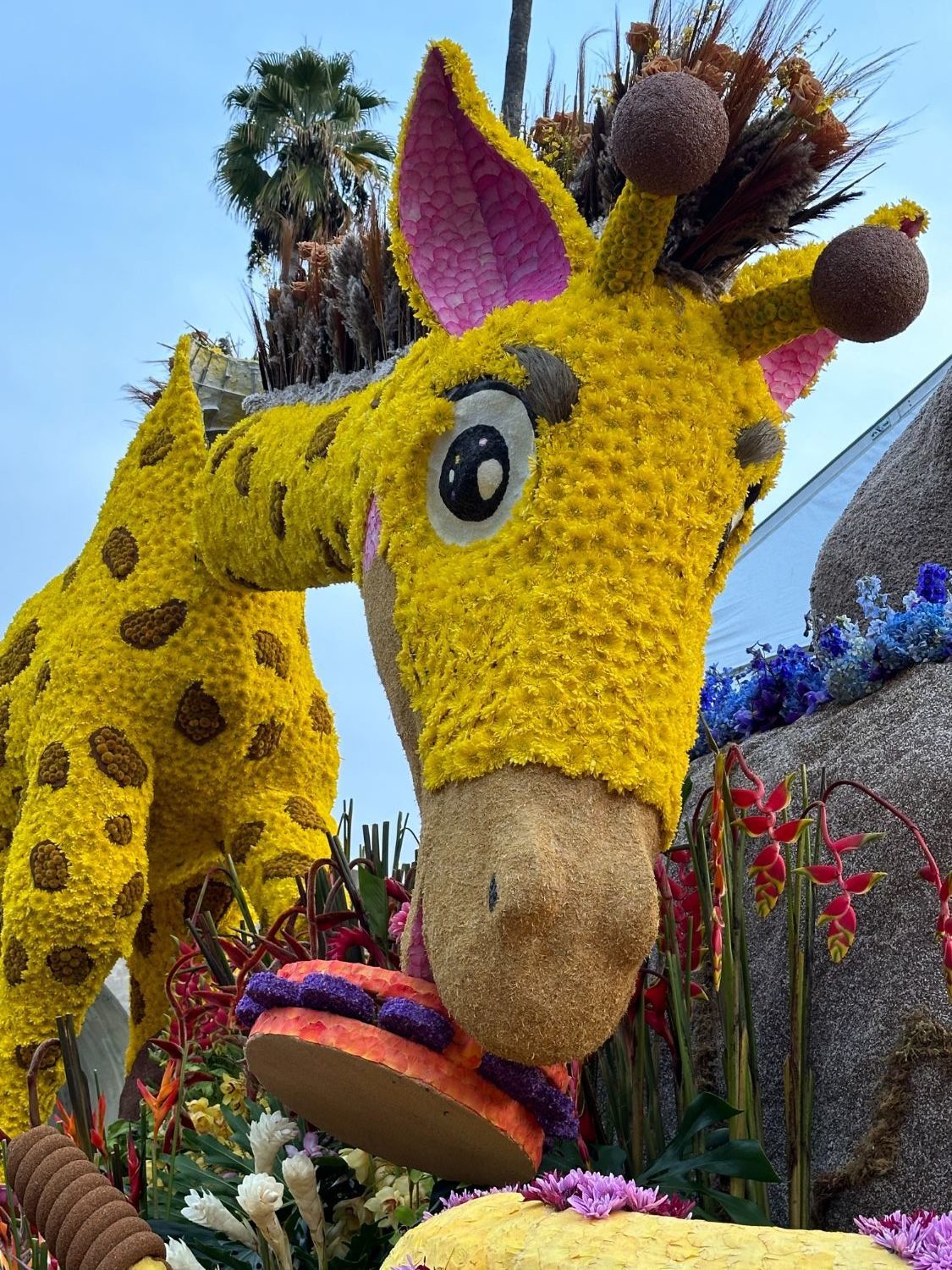 PHOTO: Bill Glazier | The South Pasadenan | South Pasadena Tournament of Roses 2024 float at the Tournament of Roses final judging on December 31, 2023.