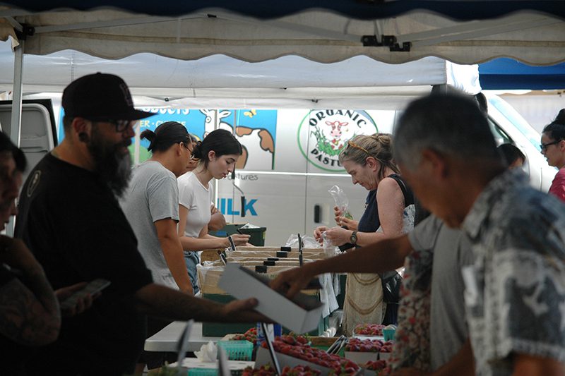| The South Pasadenan | South Pasadena News