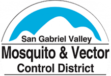 Questions About Mosquitos?