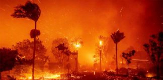 PHOTO: Cover of the Official LA County Independent After-Action Report by McChrystal Group. "The winds created flames 200 feel long horizontally, and sent embers flying up to 2 miles away"