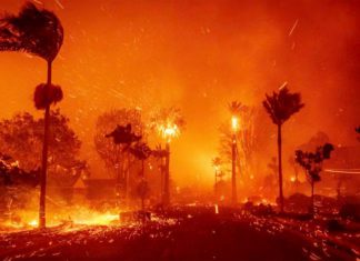 PHOTO: Cover of the Official LA County Independent After-Action Report by McChrystal Group. "The winds created flames 200 feel long horizontally, and sent embers flying up to 2 miles away"