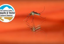 South Pasadena Bites Back! | Mosquito Protection Workshop
