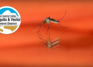 South Pasadena Bites Back! | Mosquito Protection Workshop