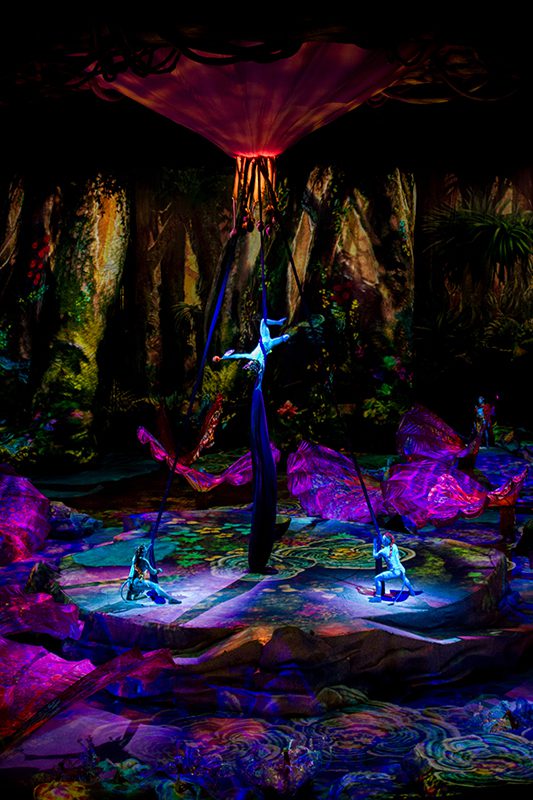 south-pasadenan-11-10-16-cirque-du-soleil-toruk (3) | The South Pasadenan | South Pasadena News