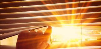 Heat Wave South Pasadena | Summertime Temps Forecast to Hit 90°~100° for the Week Ahead