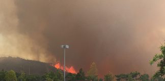 Wildfire Subsides in Burbank