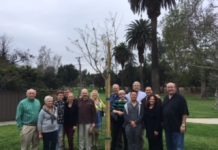 Tree-Planting Challenge Inspires Rotary Club of South Pasadena
