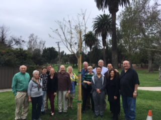 southpasadenan-news-3-17-18-rotary-trees-planted-in-garfied-park
