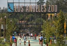 Go Wild For the Planet at LA Zoo