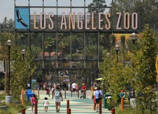 Go Wild For the Planet at LA Zoo