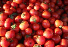 INFO ALERT: Farmers Market Cancelled Today