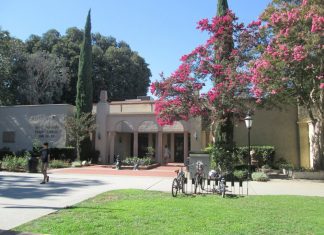 Library Presents a Wellness Series for Tweens